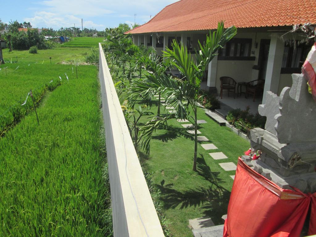 Ayu Guest House 2 Canggu Extérieur photo